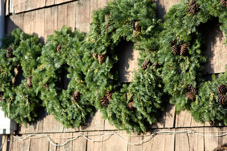 tree-farm-wreaths