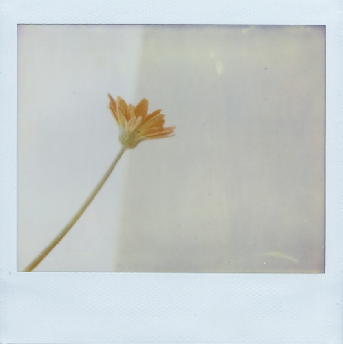 poloroid-photo