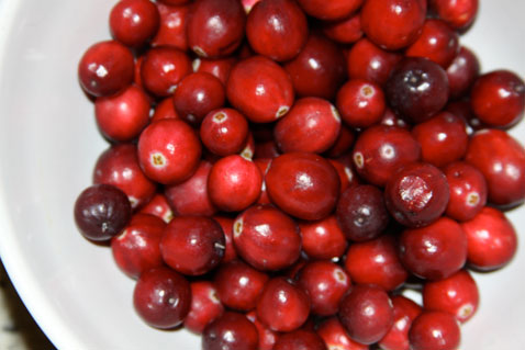 1023-cranberry-muffins-1