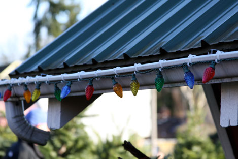 tree-fam-lights tree-fam-lights