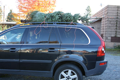 tree-farm-car tree-farm-car
