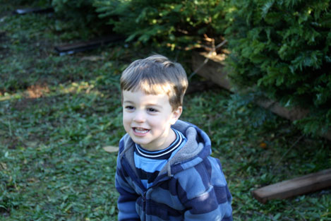 tree-farm-happy-car tree-farm-happy-car