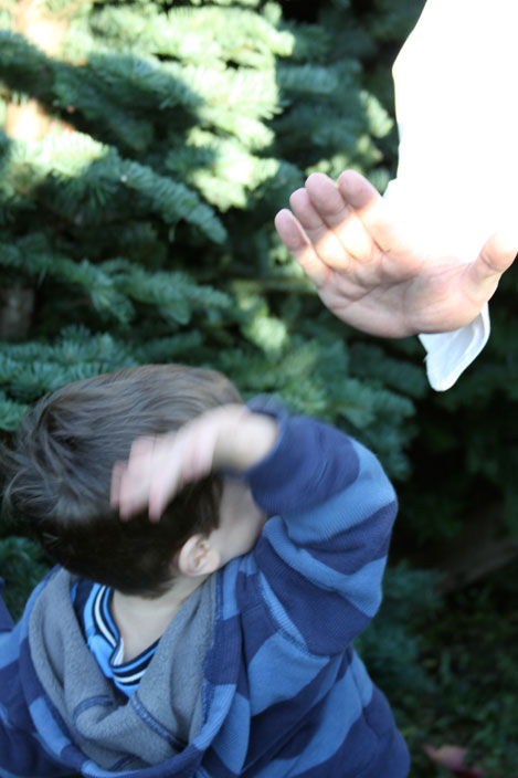 tree-farm-high-five tree-farm-high-five