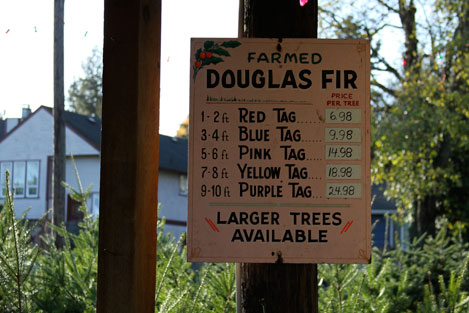 tree-farm-prices tree-farm-prices