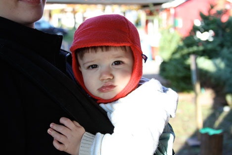 tree-farm-russie tree-farm-russie