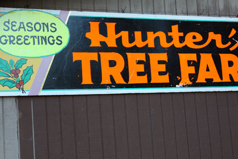 tree-farm-sign