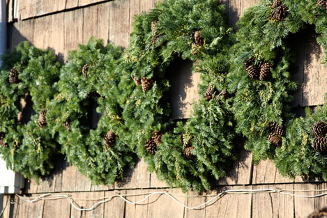 tree-farm-wreaths tree-farm-wreaths